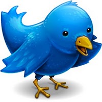Twitter la più famosa piattaforma di microblogging