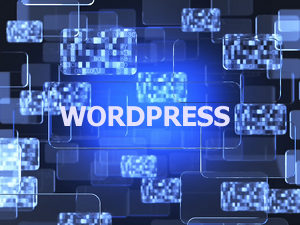 Sviluppo plugin WordPress Alessandria